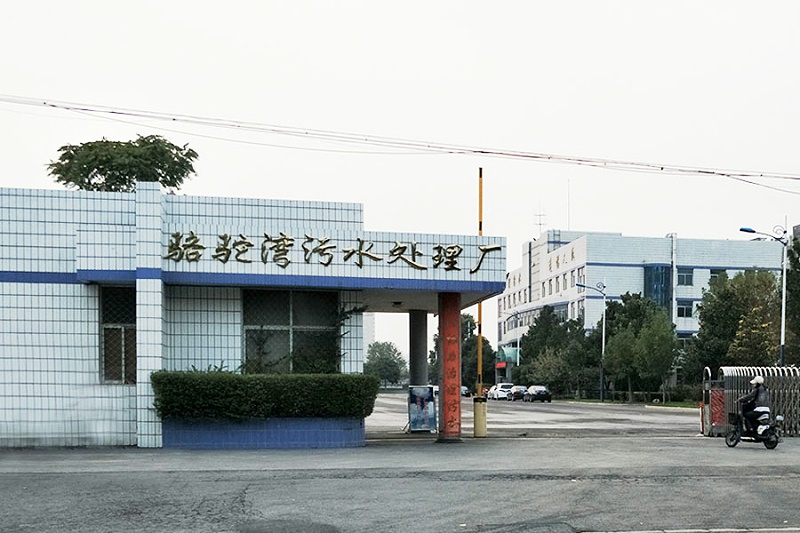 新鄉駱駝灣-1